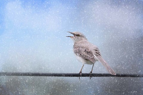 Framed Mockingbird In The Snow Print