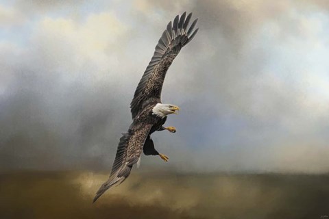 Framed Up Against The Stormy Sea Bald Eagle Print