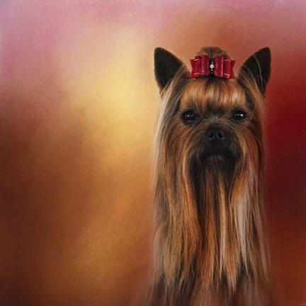 Framed Royal Yorkshire Print