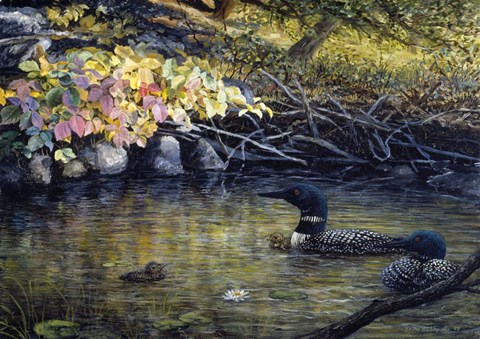 Framed Peaceful Reflections Print