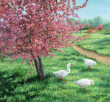 Framed Cherry Blossom Time Print