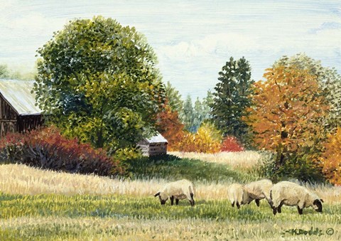 Framed Autumn Colours Print