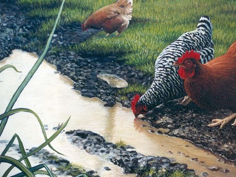 Framed Reflections of Spring Print