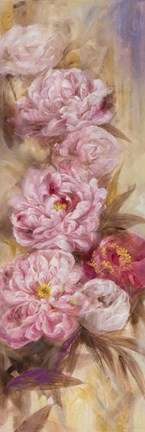 Framed Peonies I Print