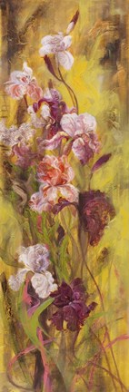 Framed Bearded Iris II Print