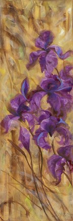 Framed Bearded Iris VII Print