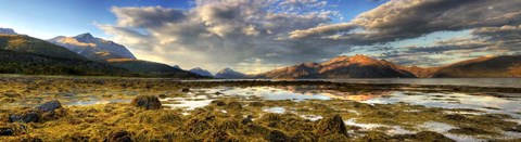 Framed Lofoten Print