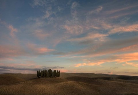 Framed Tuscany VII Print