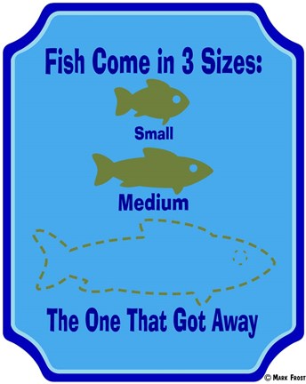 Framed Fish Are 3 Sizes Print
