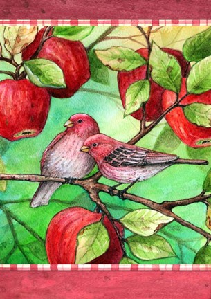 Framed Red Finches With Apples Print