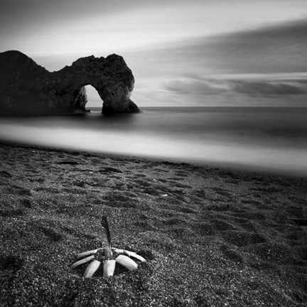 Framed Durdle Feather Print