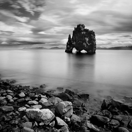 Framed Iceland Dinosaur Print