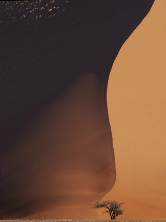 Framed Namibia The Dune Print