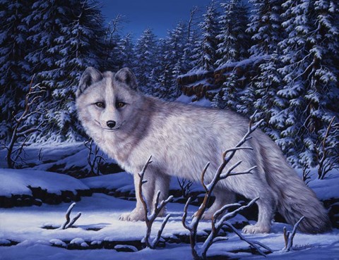 Framed Blue Northern Print