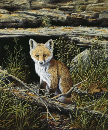 Framed Anticipation Print