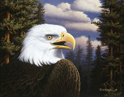 Framed Proud &amp; Free Print