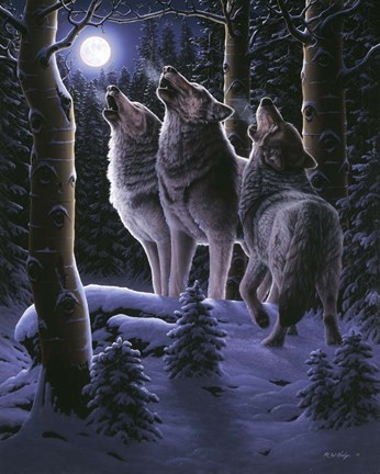 Framed Midnight Clear Print