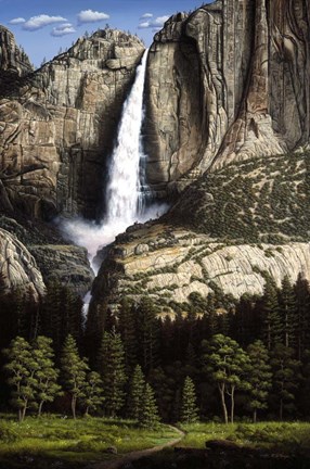 Framed Water Dance Print