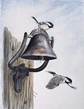 Framed Suet&#39;s On Print