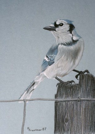 Framed Bird On A Post Print