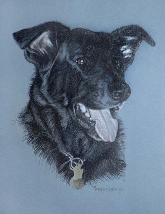 Framed Dog  Four Print