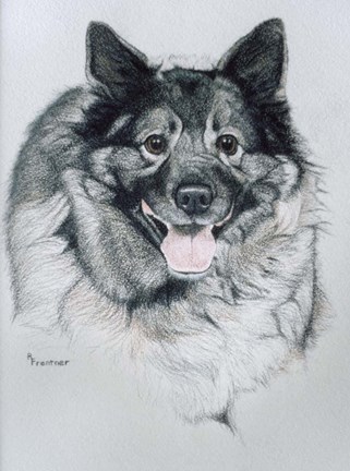 Framed Dog Ten Print