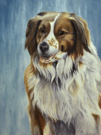 Framed Dog  Twelve Print