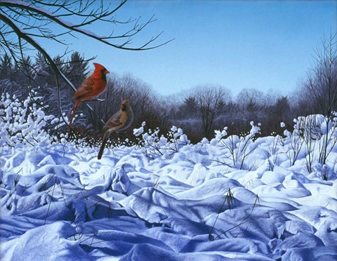 Framed After The Storm Print