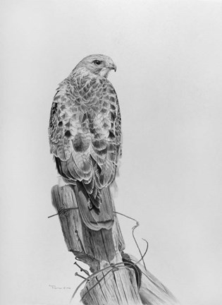 Framed Lookout Print