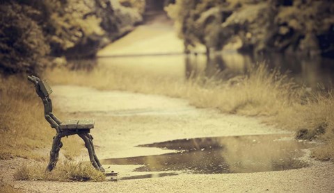 Framed After the Rain Print