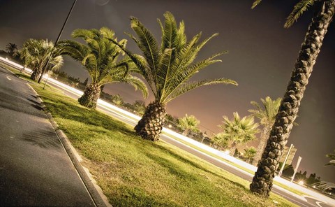 Framed Summer Night Print