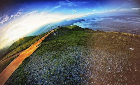 Framed Cap Bear Print