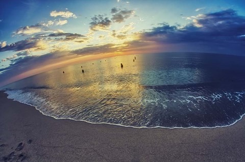 Framed Cypress Sunrise III Print