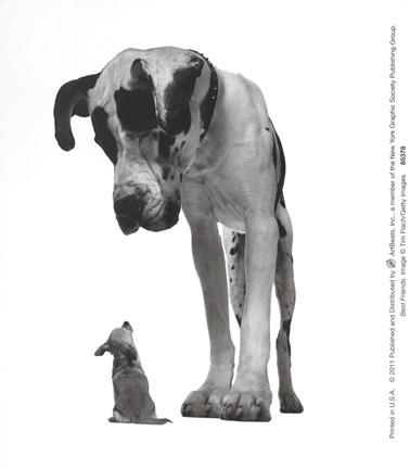 Framed Best Friends Print