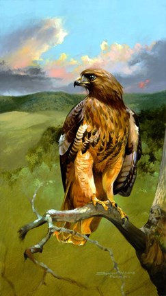 Framed Hawkeye Print