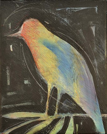 Framed Rainbow Bird Print