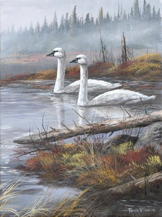 Framed Quiet Passby Print