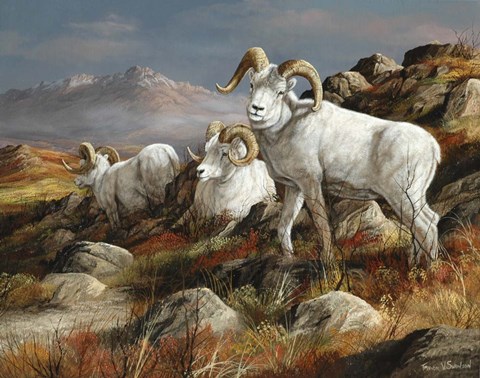 Framed Autumn Kings Print