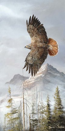 Framed Binking In Flight Print