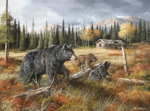 Framed Careful Through The Meadow Print