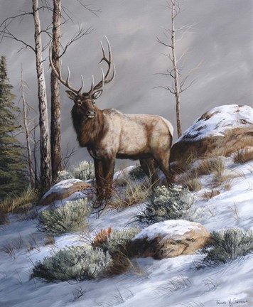 Framed Cold Ridge Watcher Print