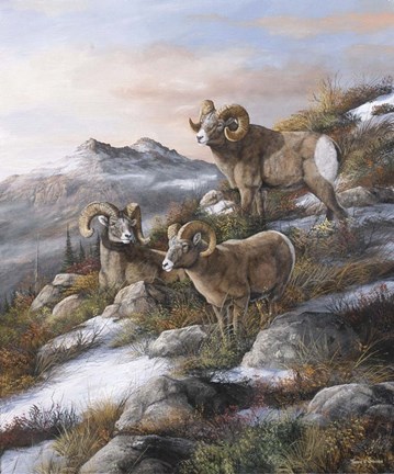 Framed High Country Kings Print