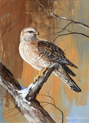 Framed Remnants Of Snow Print