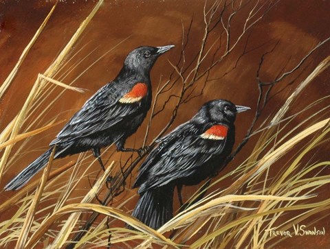 Framed Singers Of Fall Print