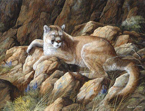 Framed Warm Resting Spot Print