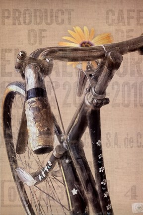 Framed Pearl Street Cycle Print