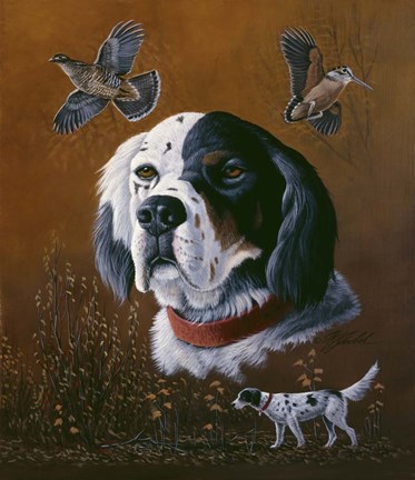 Framed English Setter Print
