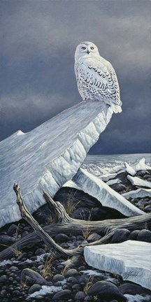 Framed Lakeshore Ice Print