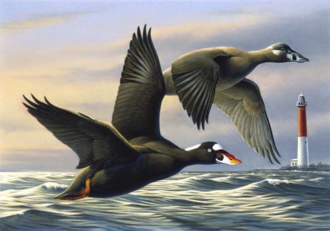 Framed Surf Scooters Print