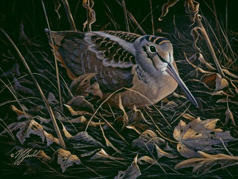 Framed Timberdoodle Print